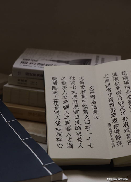 Eight Character Ding was born in the month of Shen