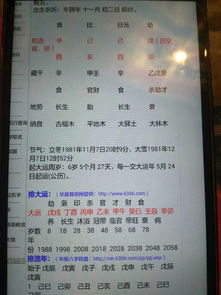 eight SiHai hedge how to
