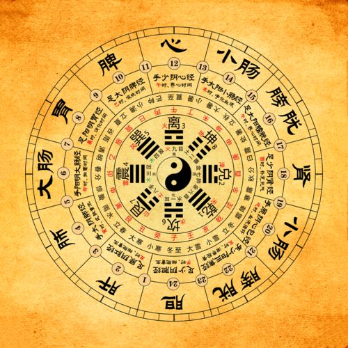 How to read the day branch of the Eight Character Natal Chart