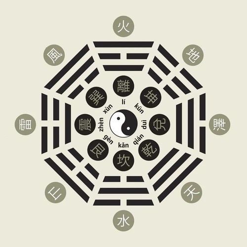 What are the Ying Qi of the Eight Character Numerology