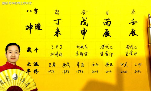 Example of a fortune of a person with the eight-character Day Stem of Xin Jin who is distinguished