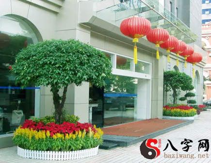 What kind of tree is planted in front of the door to prosper wealth and fortune