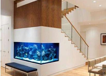 Feng Shui for home fish tanks