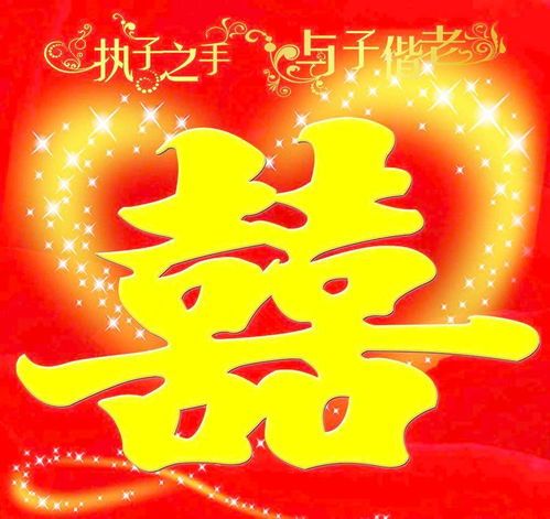Eight Character Marriage Birth Character Matching