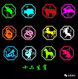 Six Charge Genus Eight Character Matching