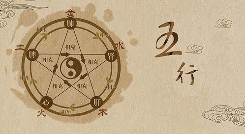 Name eight five elements analysis