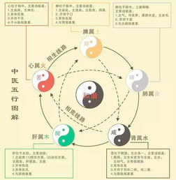 Five elements are fire 八字金和水少