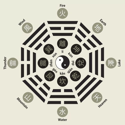 What are the characters containing water in the eight characters