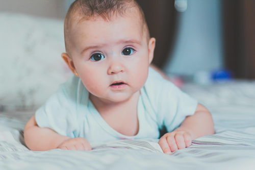 Baby Name Birth Character Free Test