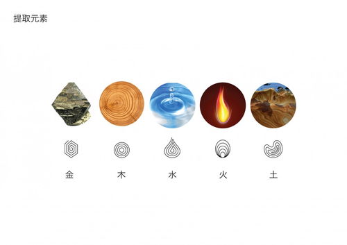 What are the five elements of the 1972 Rat