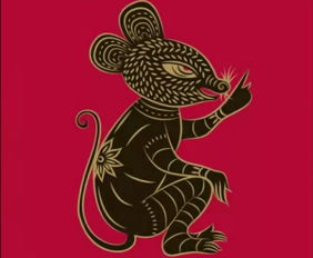 Fate of Rat Boys in 1996