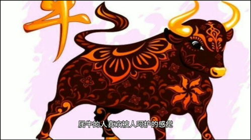 What is the life of the Ox in 1995