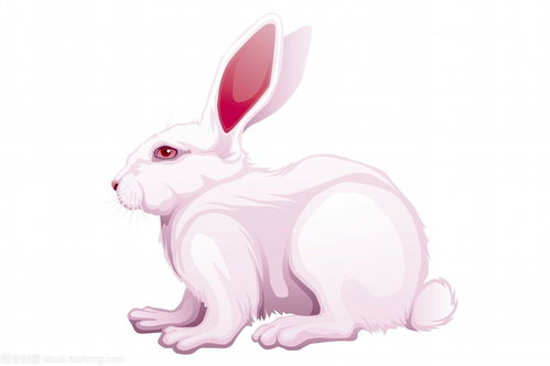1987 Rabbit's Triple Harmony Noble Person