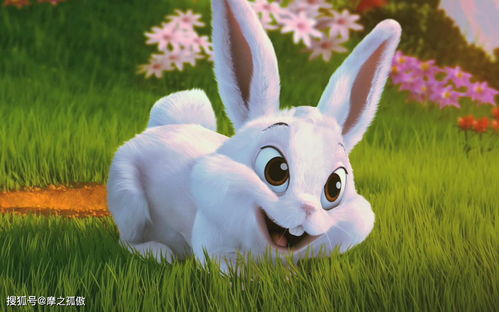 1999 Rabbit August Destiny