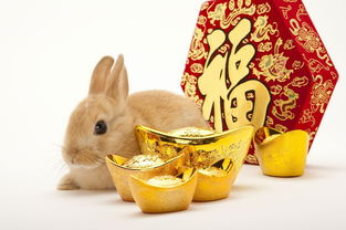 Horoscope for the Tiger in the Year of the Rabbit 2023