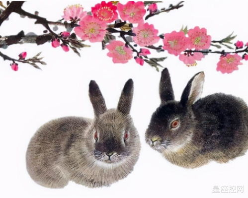 1987 Rabbit Lunar Year