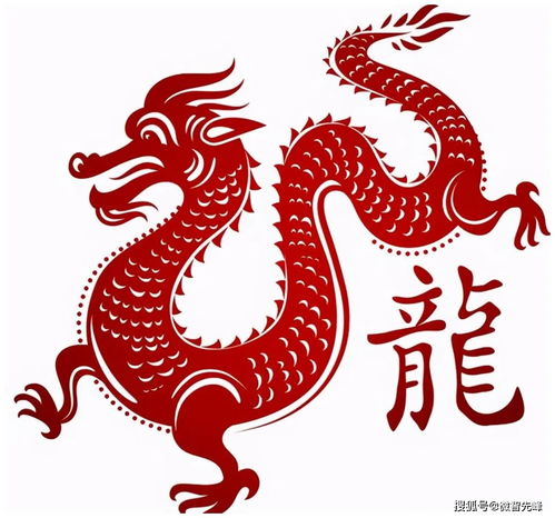 How is the 2000-born Dragon doing academically this year