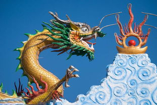 How old will the 1988 Dragon be in 2023