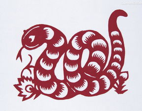What are the Five Elements of the Snake in 2025