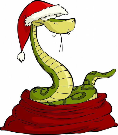 What is the life of a snake?