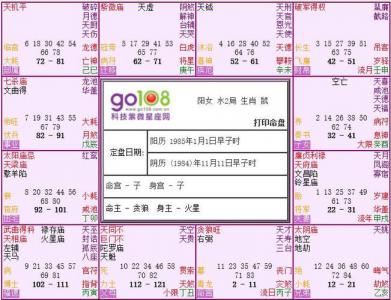 Yearly Zi Wei Natal Chart Analysis (Zi Wei Natal Chart of Nobility due to Marriage)
