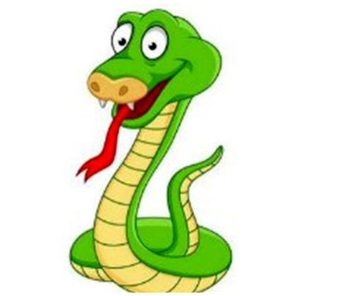 What is the best match for a male snake?