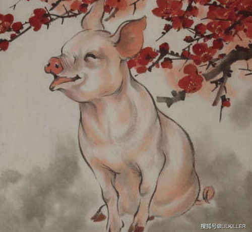 Are dragons and pigs compatible?