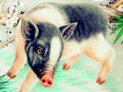 Are 88 dragons and 95 pigs compatible?