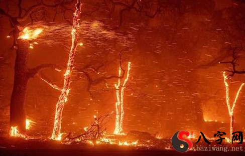 Dreaming of a burning tree