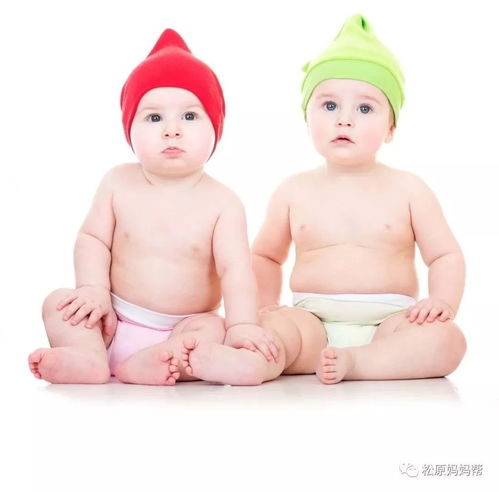 Year of the Dog Baby Naming Claims Eight Characteristics