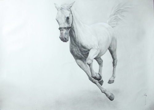 This year's horoscope for the 2002 Horse