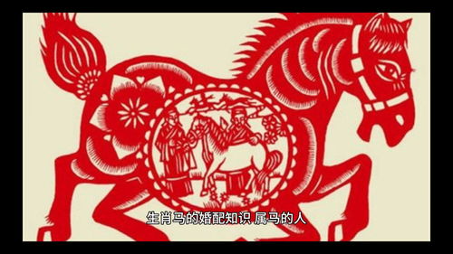 Marriage Match for Horse 1966