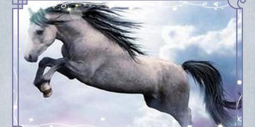 1978 Horse 44 Years Horoscope