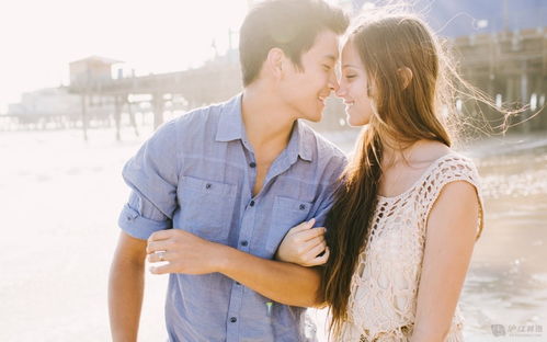 Are Male Horse and Female Rabbit Marriages Compatible