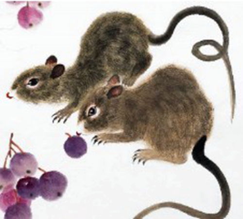Horse and Rat are compatible with each other