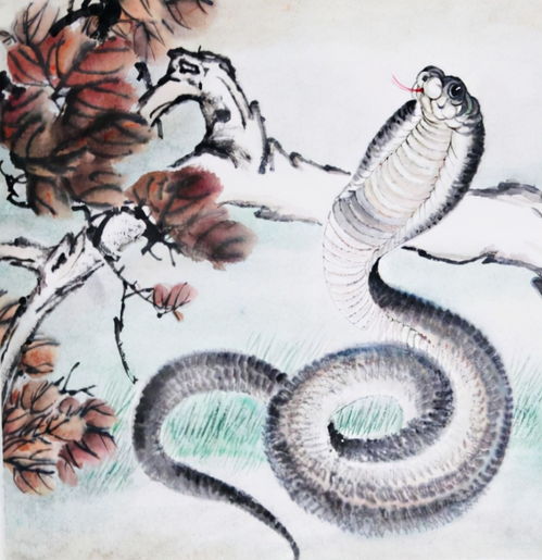 Are Monkeys and Snakes compatible for wealth