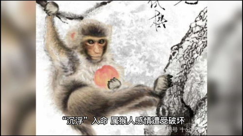 Luck and Finance for Monkeys this year