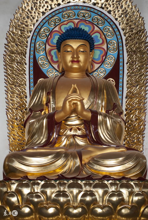Monkey Dainichi Rudra