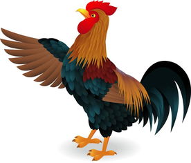 June Rooster Horoscope